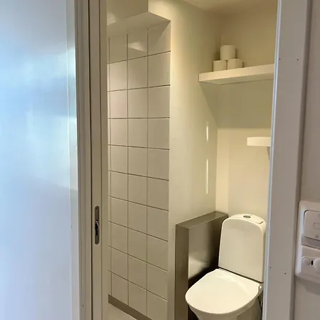 Penthouse In Center