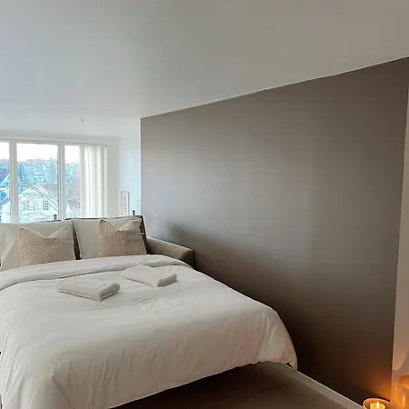Penthouse In Center Apartmán
