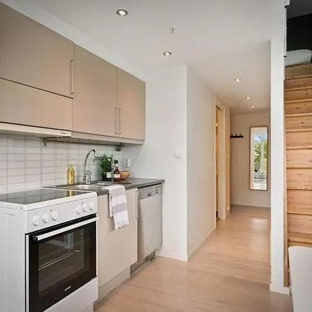 アパート Penthouse In Center *